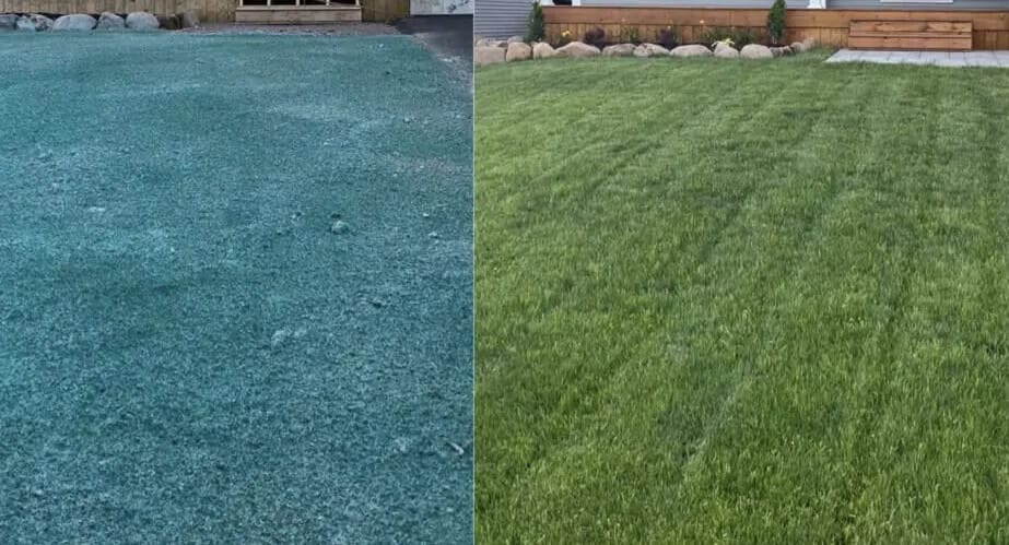 Slope Erosion Control